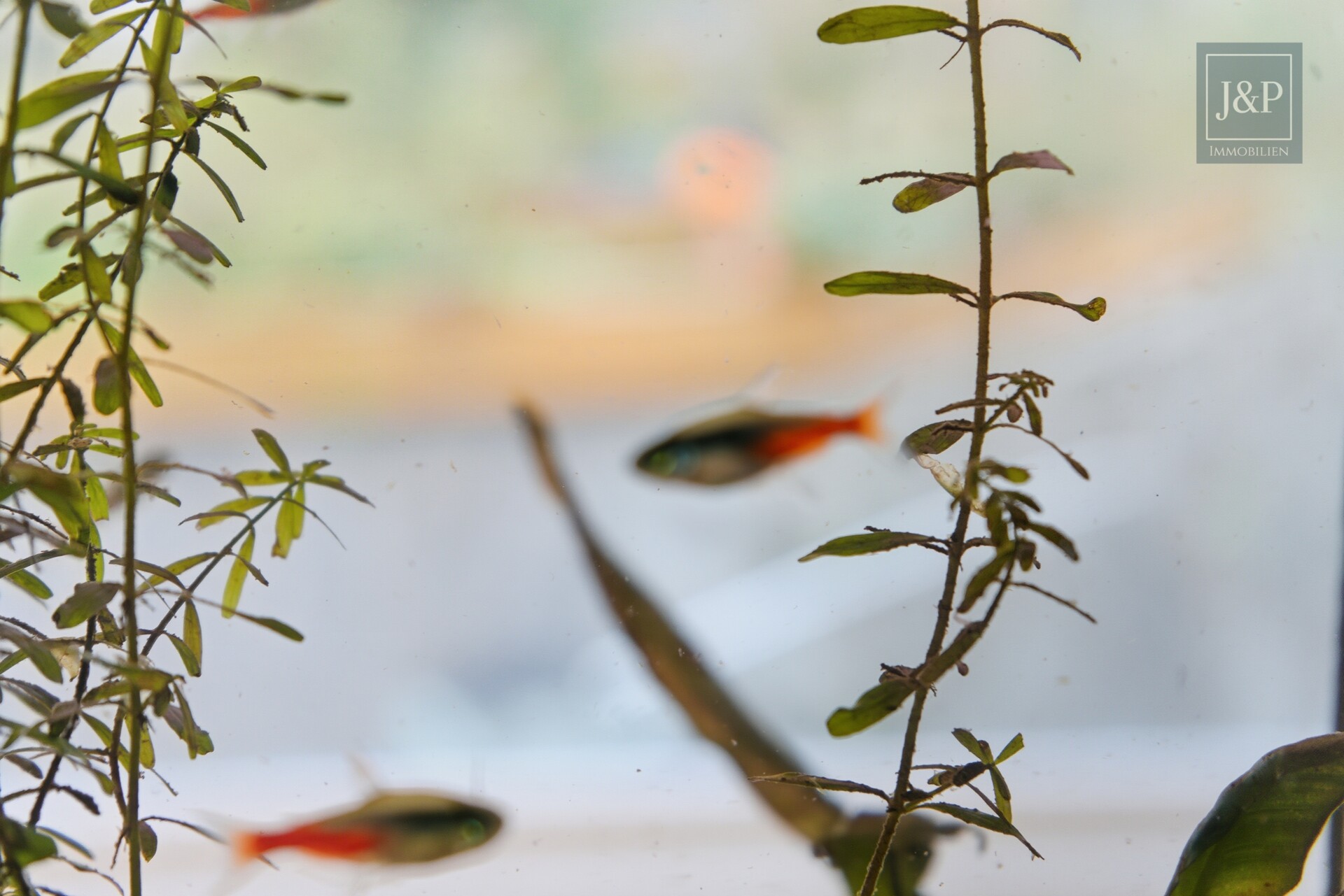 Ruhig und Familiär! 4,5-Zimmer-Souterrain-Wohnung mit großem Gartenanteil! - Detail 1