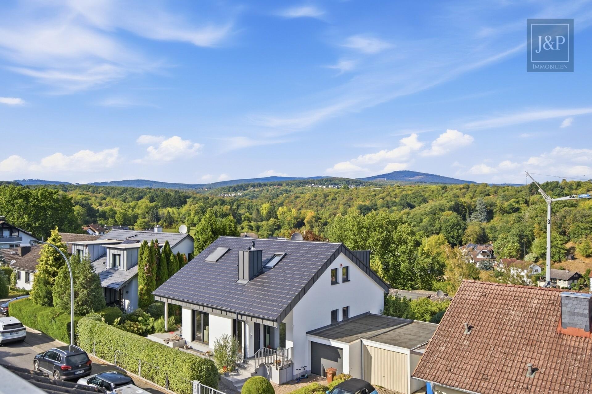 Skyline und Feldbergblick in einem! Schöne Maisonettewohnung in Sackgassenlage & Blick ins Grüne - Aussicht Balkon
