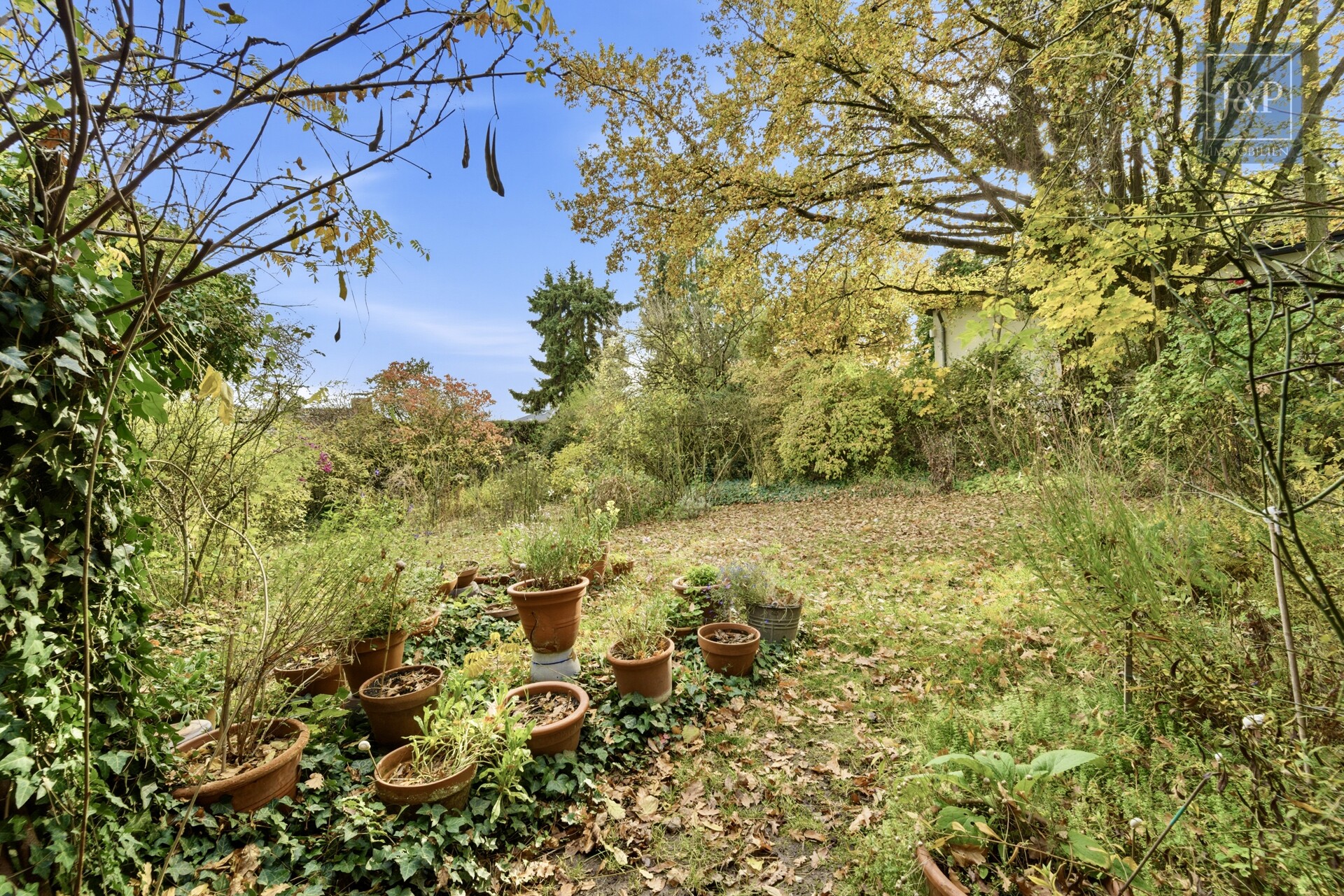 Einzigartige Architekten-Villa mit Panorama & Potenzial – Traumlage in Hofheim am Taunus - Garten