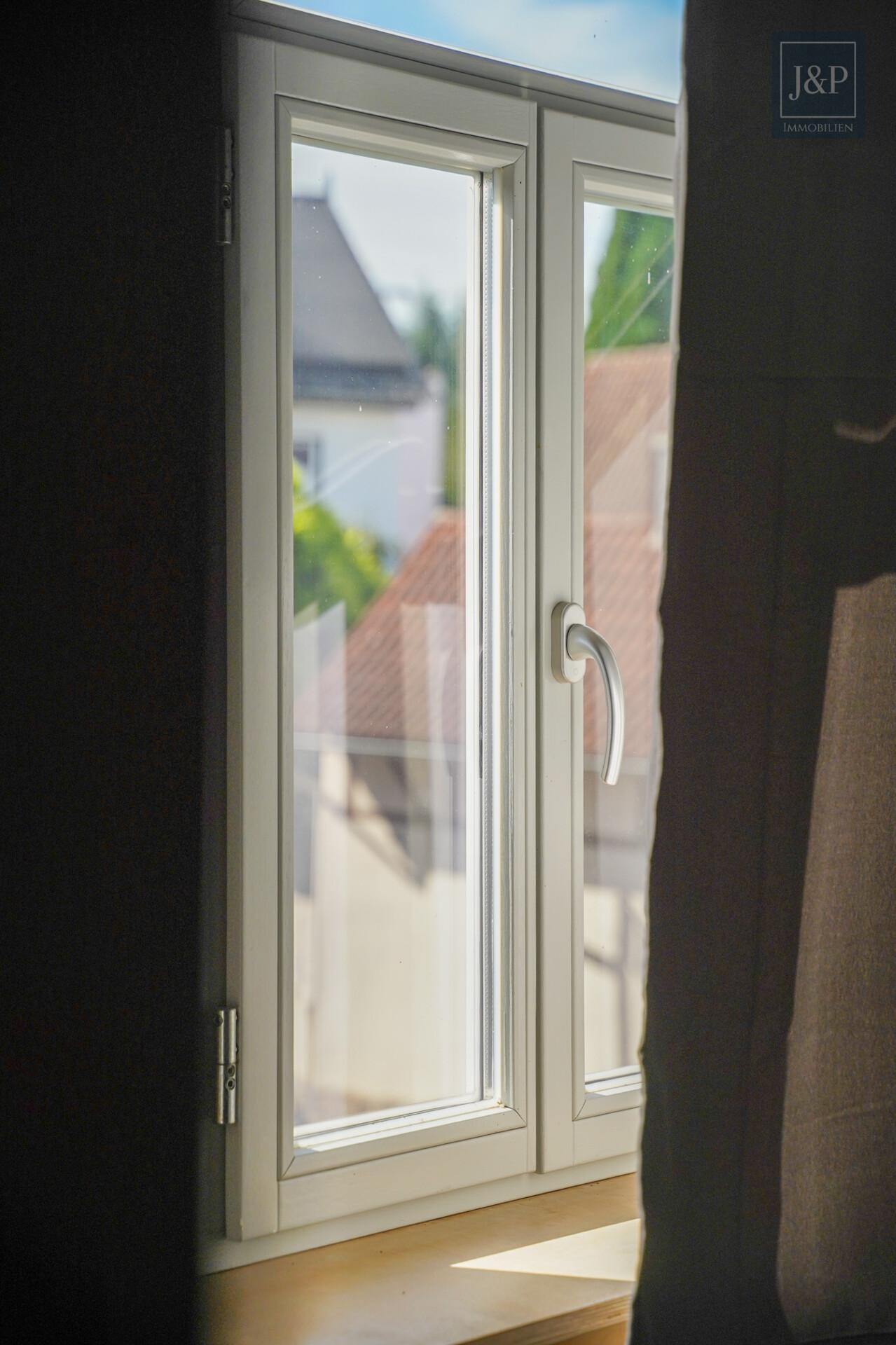 Viel Platz für Familie & Beruf: Fachwerkhaus mit Einliegerwohnung und Hof! - Fenster