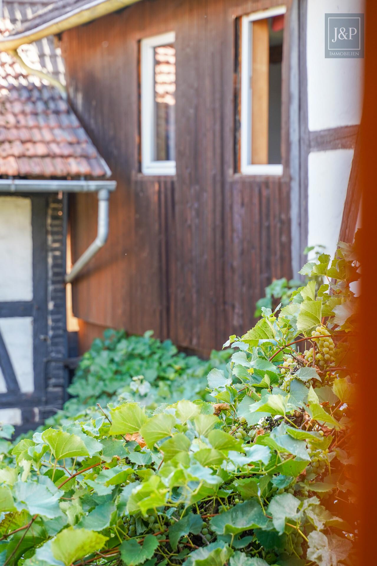 Viel Platz für Familie & Beruf: Fachwerkhaus mit Einliegerwohnung und Hof! - Hof