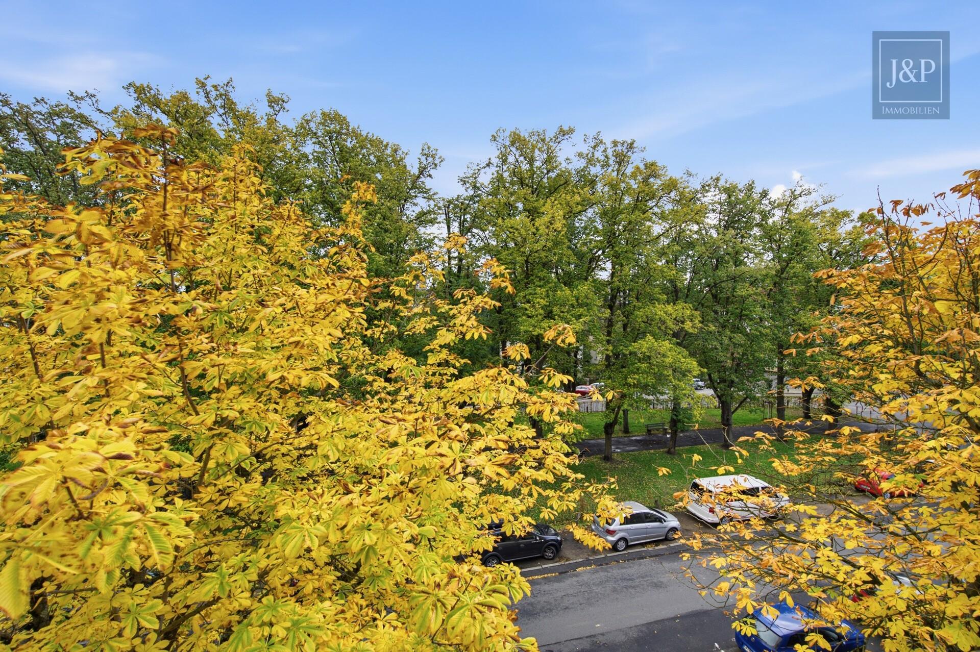 3-Zimmer-Wohnung mit zwei Bädern, Balkon & Tiefgaragenstellplatz - Aussicht