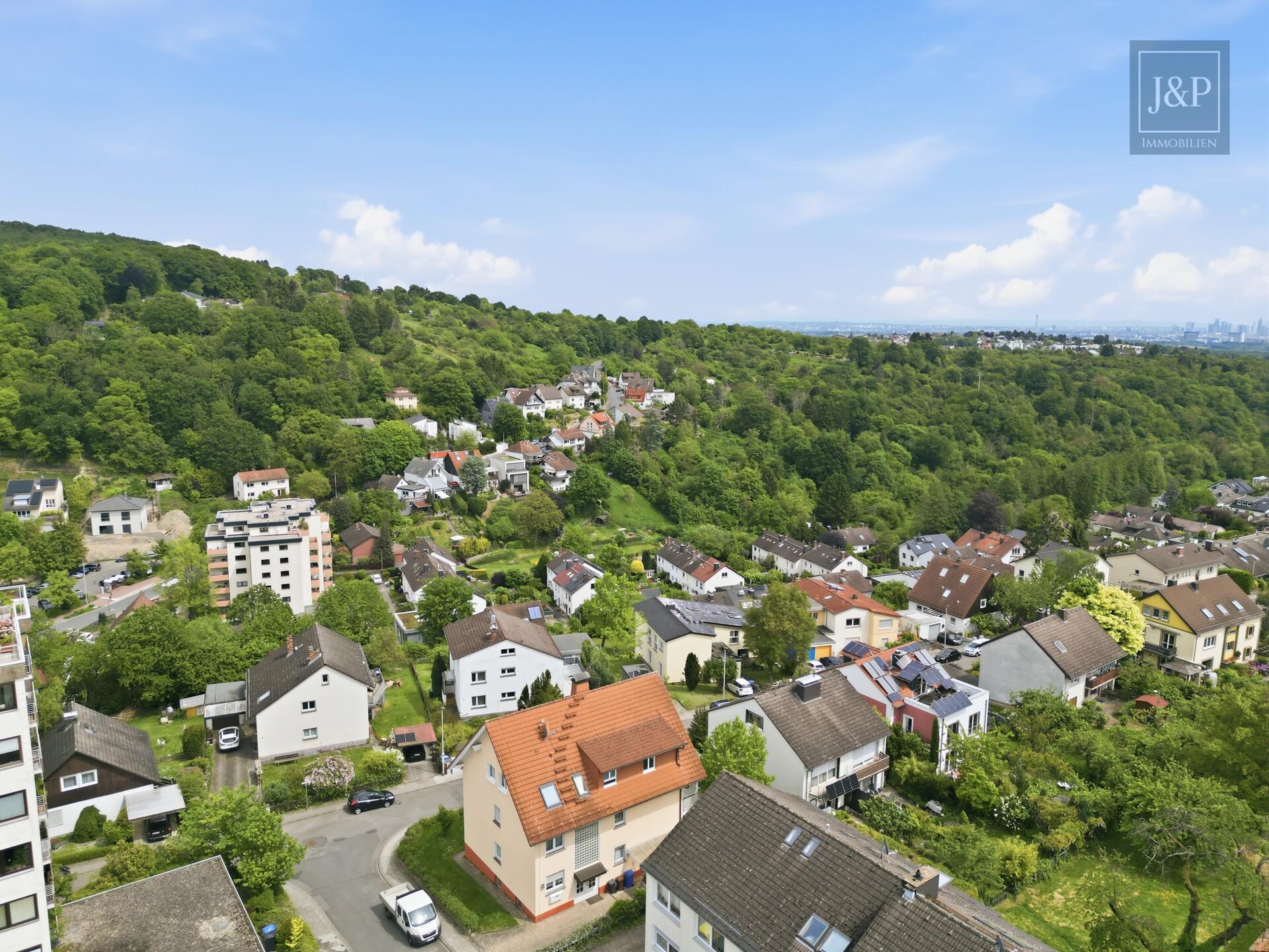 3-Zimmer-Wohnung mit Skylineblick, großem Balkon & ruhiger Lage in Bad Soden-Altenhain - Umgebung