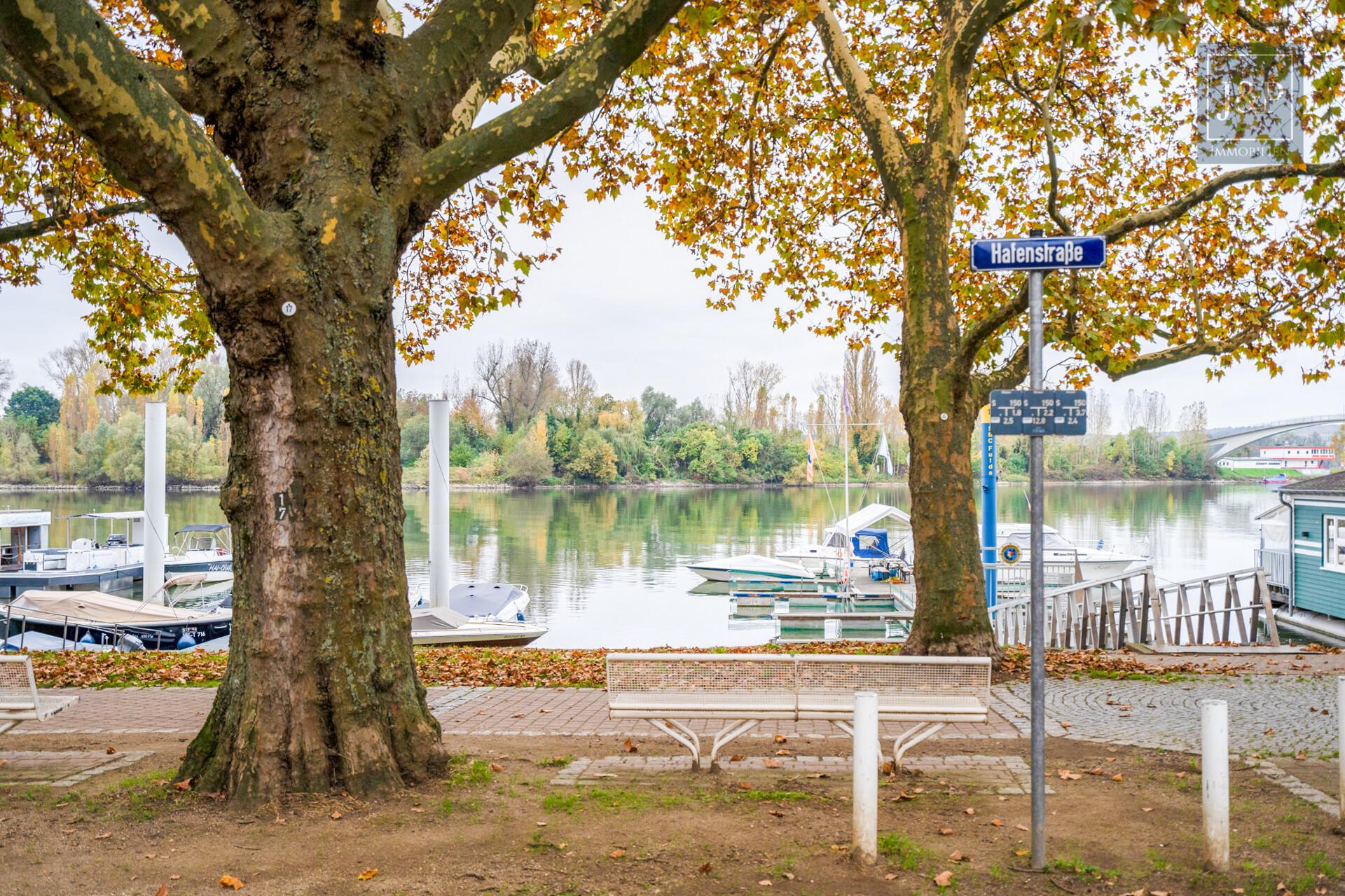 Zentral, voll-vermietet und vielseitig: Zwei Häuser in der Innenstadt von Schierstein! - Schiersteiner-Hafen (200 Meter entfernt)