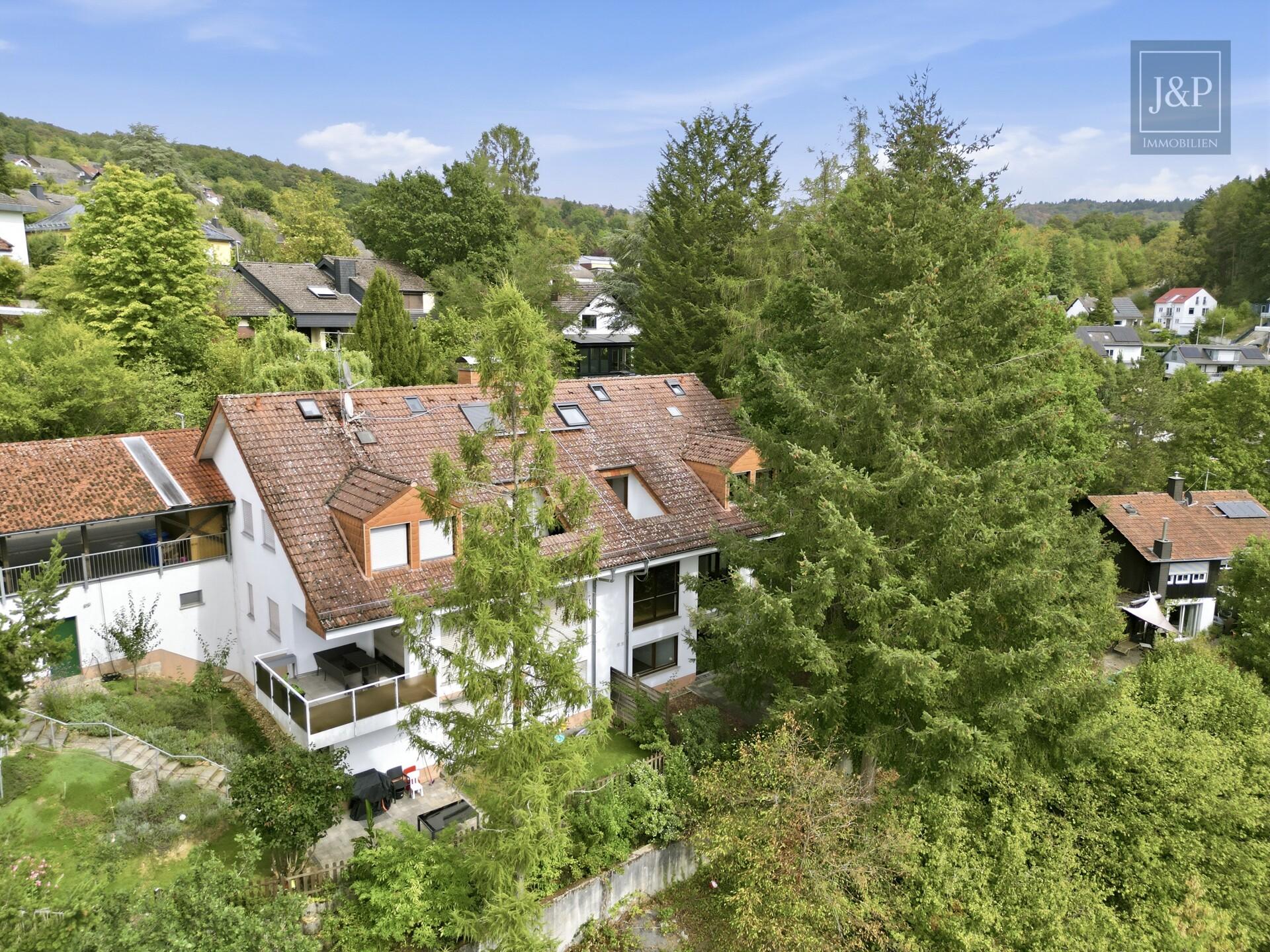 Mitten im Grünen: Großzügiges Splitlevel-Haus mit Einliegerwohnung in Eppstein - Umgebung