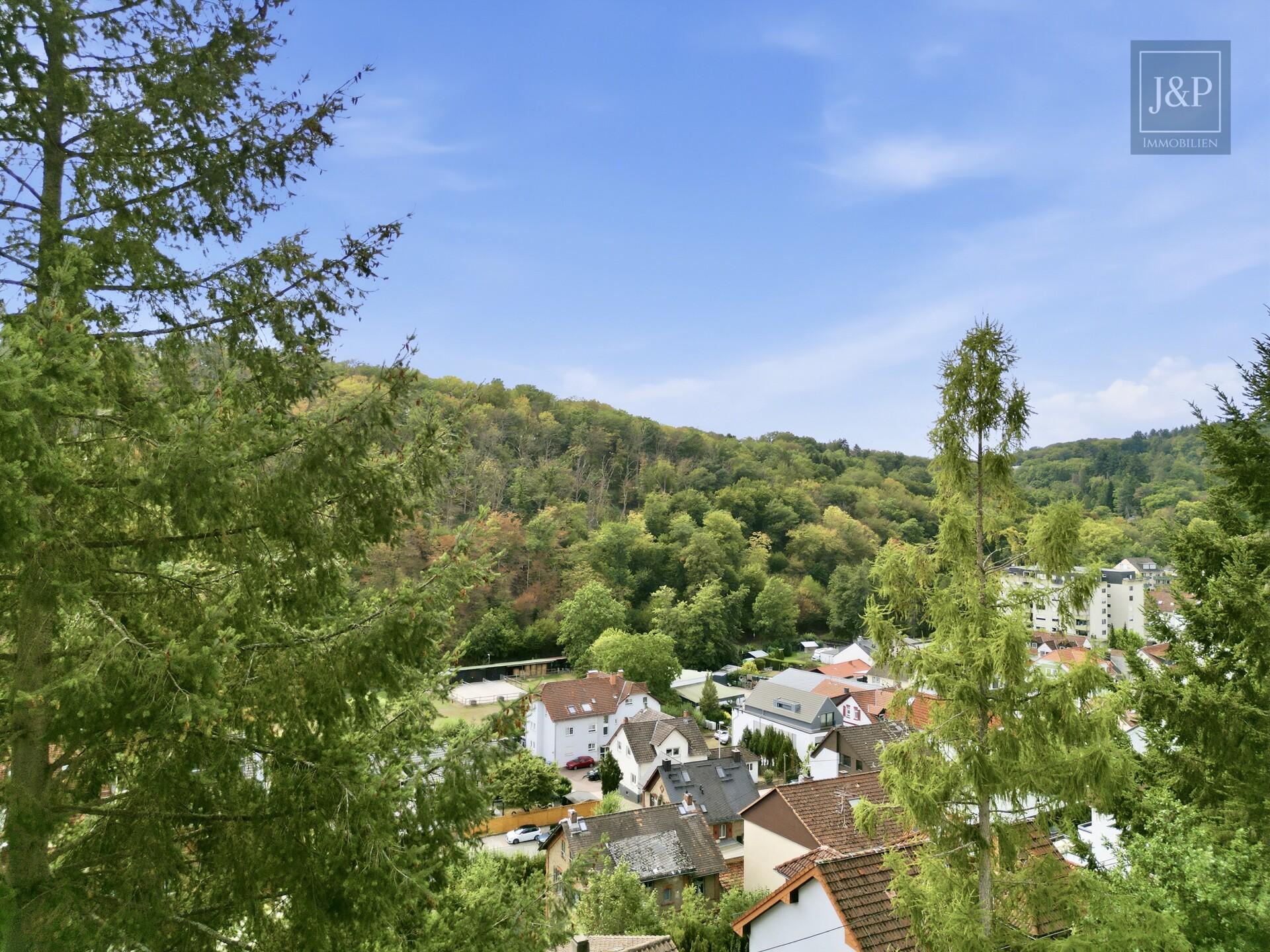 Mitten im Grünen: Großzügiges Splitlevel-Haus mit Einliegerwohnung in Eppstein - Ausblick