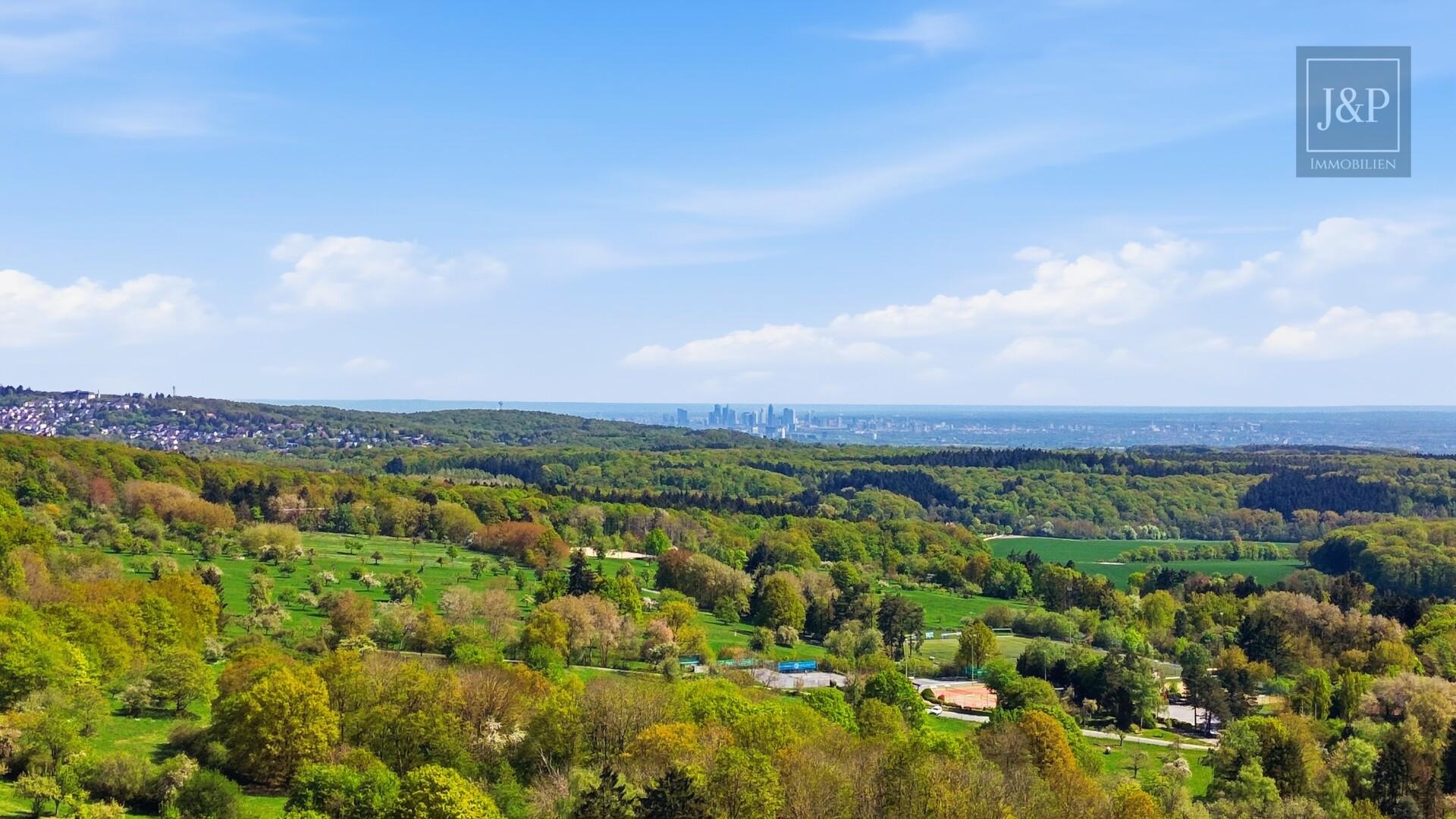 Sanierte Luxuswohnung am Zauberberg! Wohnen am Wald mit atemberaubenden Skyline-Blick! - Skyline