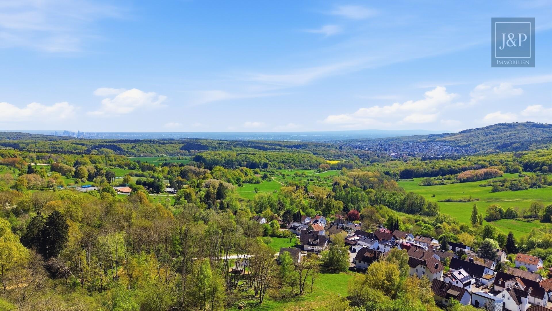 Sanierte Luxuswohnung am Zauberberg! Wohnen am Wald mit atemberaubenden Skyline-Blick! - Aussicht