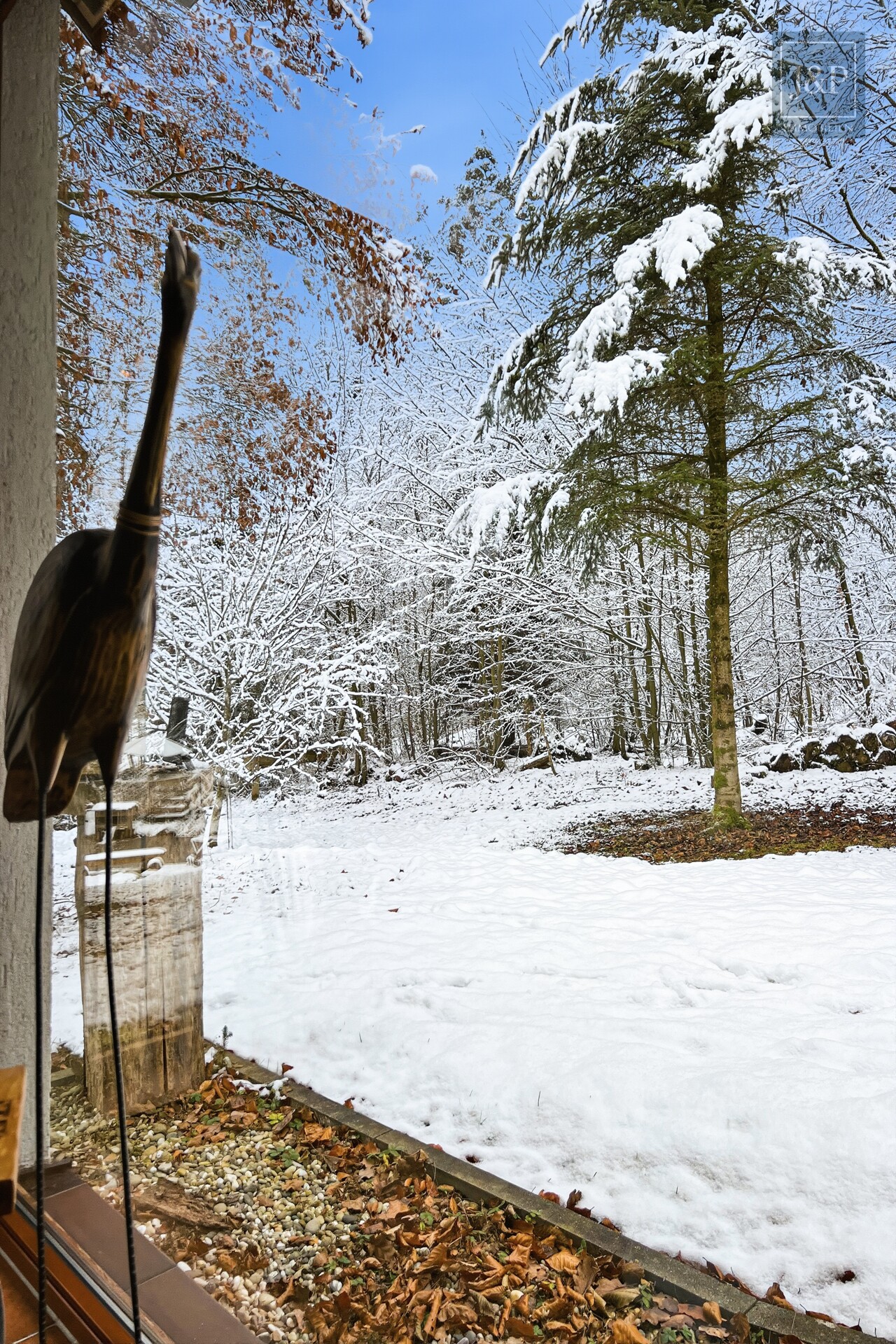 Einzigartiges Jagdhaus mit großem Waldgrundstück - Blick in Garten