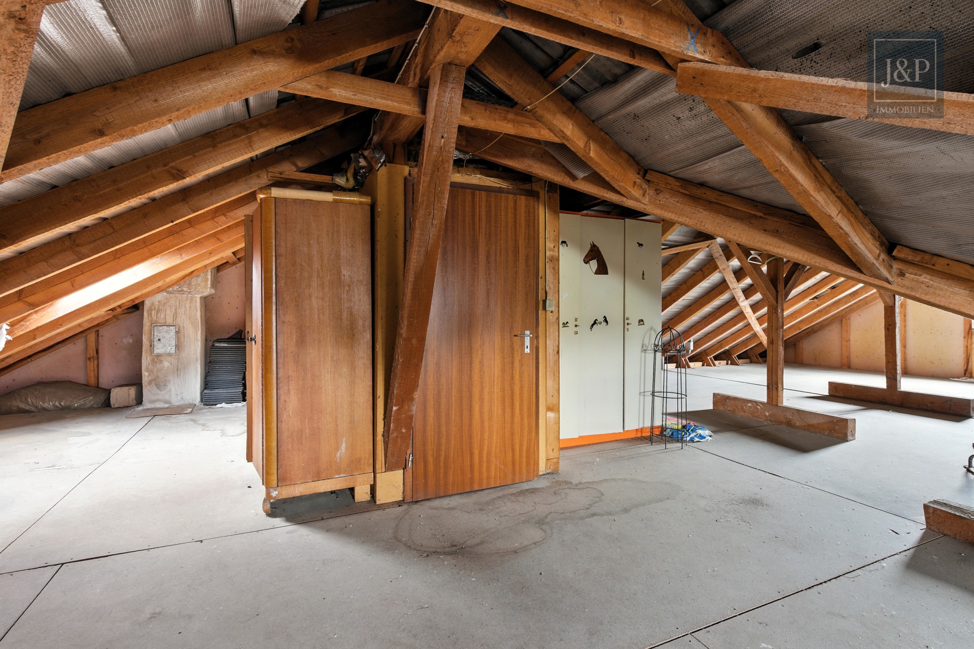Wohnen auf einer Etage! EFH mit super Aussicht + Souterraineinheit & Ausbaureserve in Finthen - Dachstuhl