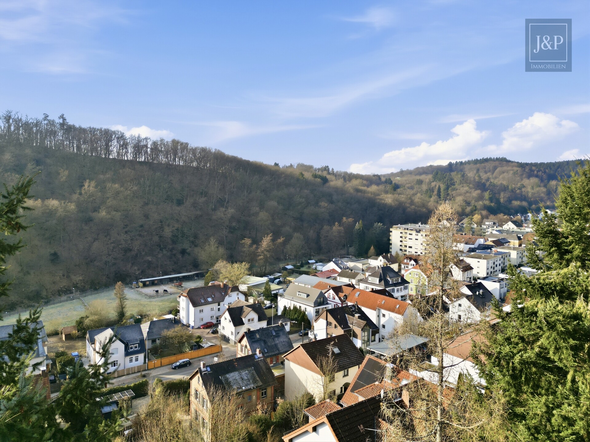 Wohnen mit Aussicht: Großzügiges Splitlevel-Haus mit Einliegerwohnung in Eppstein - Aussicht