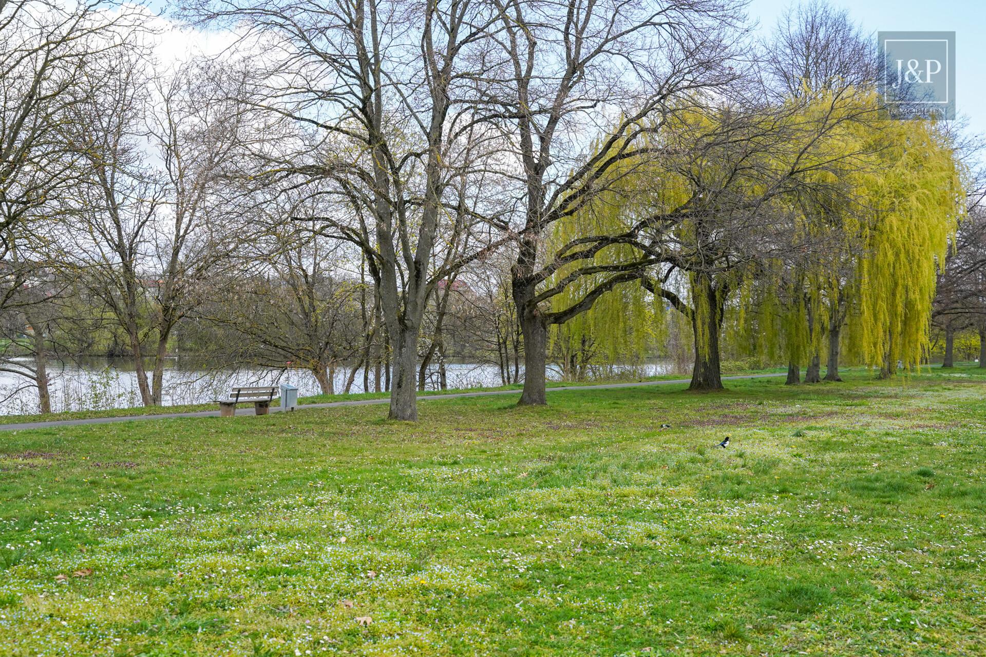Familien-Bungalow in ruhiger Lage – Garage, Sauna & schöner Garten! - Mainufer (ca. 200 Meter entfernt)