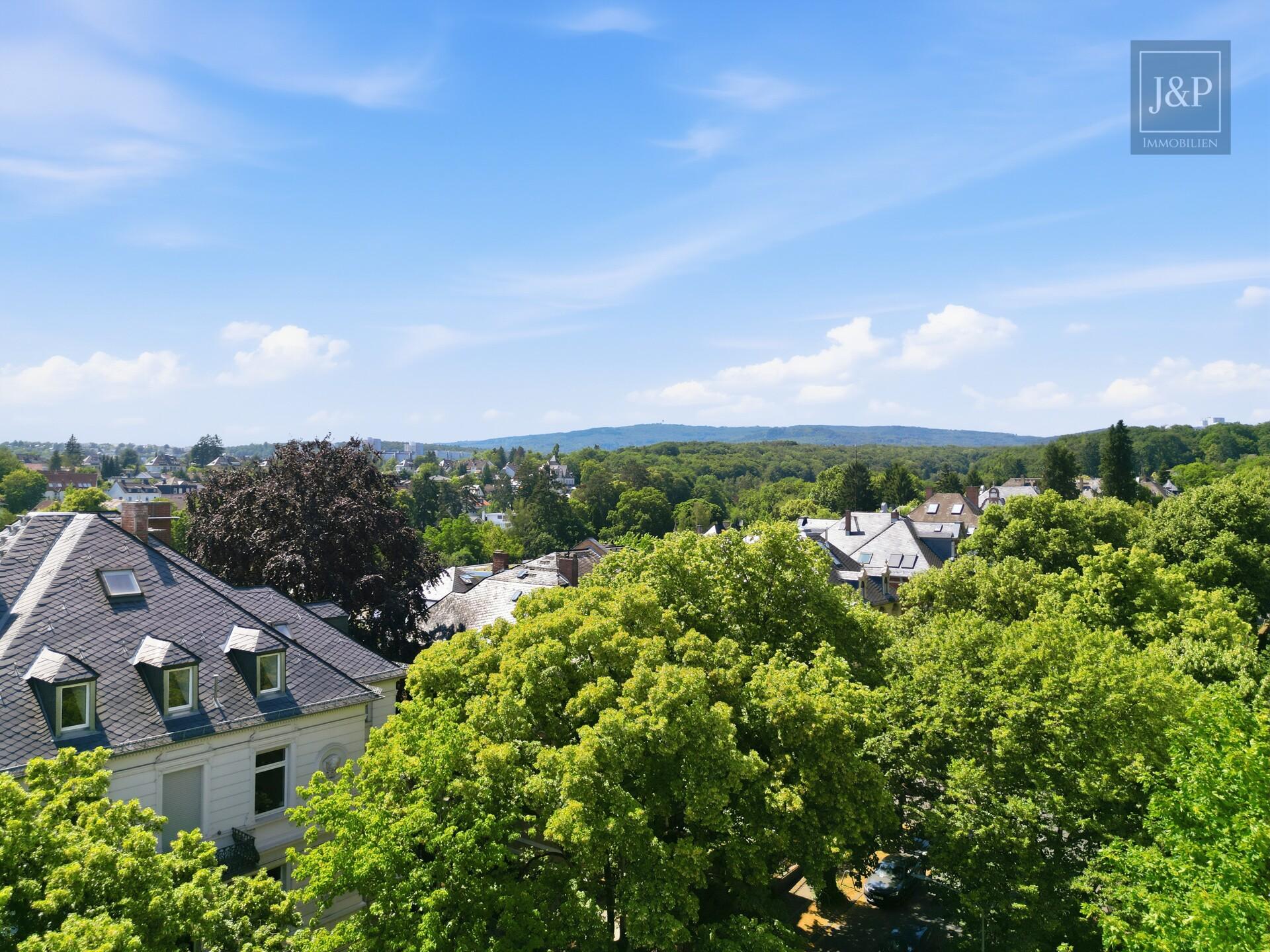 Lichtdurchflutetes Wohnen im Wiesbadener Nordosten - Altbaucharme, Natur & Innenstadt vereint - Aussicht
