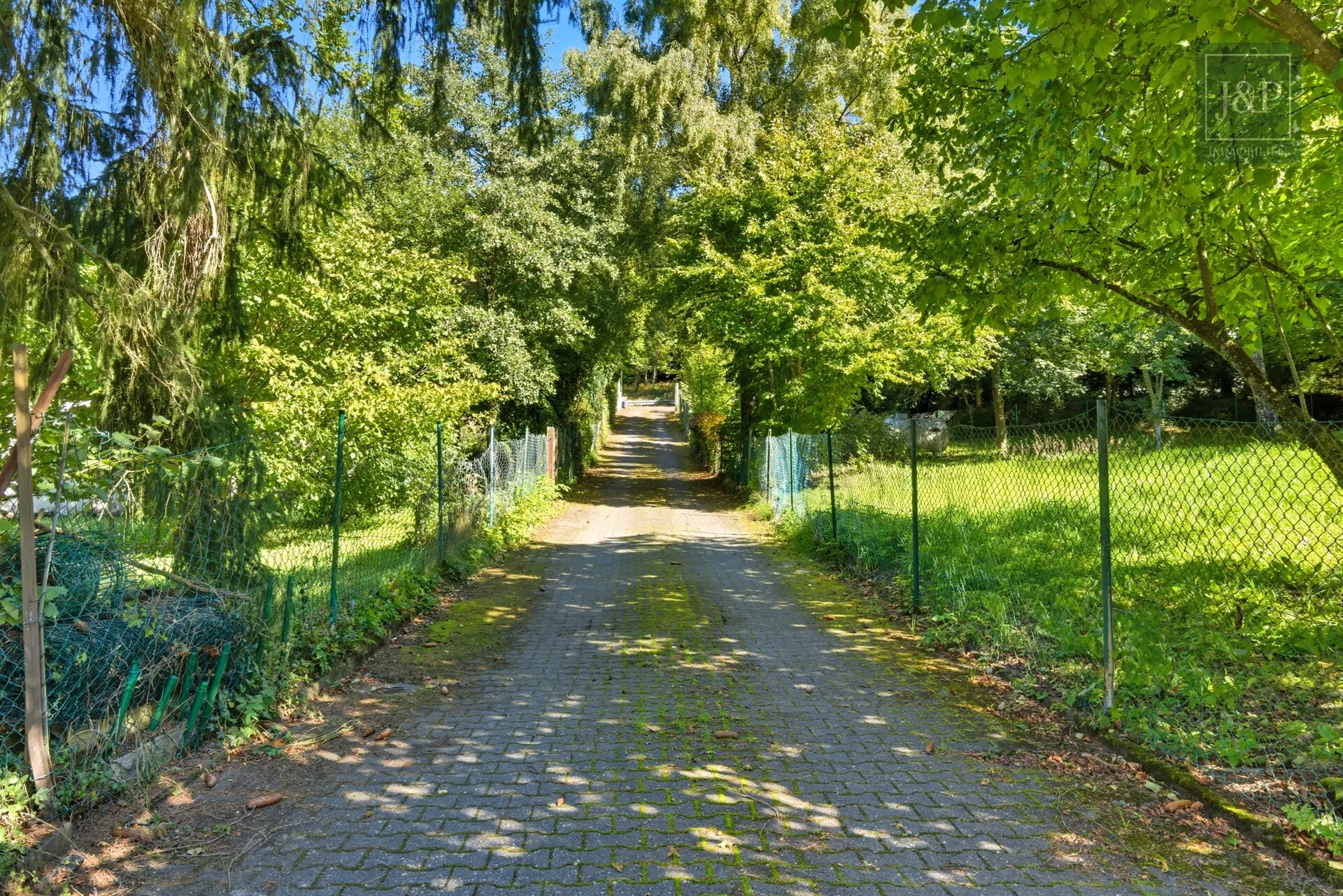 Sonnige Lage auf der Hegewiese. Großes Anwesen mit altem Baumbestand + Ausbaureserve (ZFH/EFH) - Einfahrt